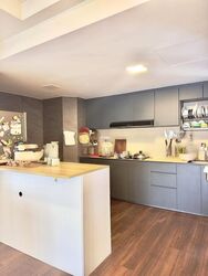 The Tanamera (D16), Condominium #480323701